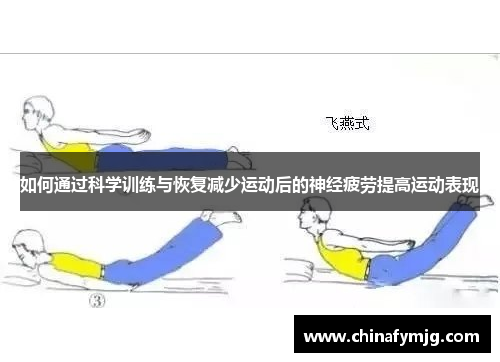 如何通过科学训练与恢复减少运动后的神经疲劳提高运动表现