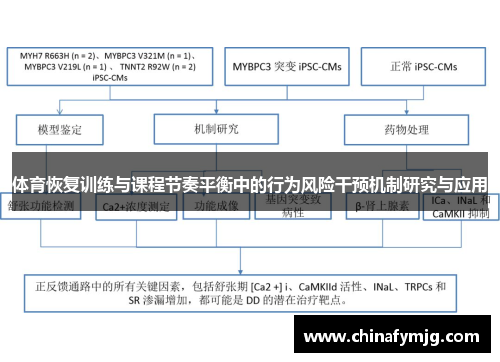 体育恢复训练与课程节奏平衡中的行为风险干预机制研究与应用